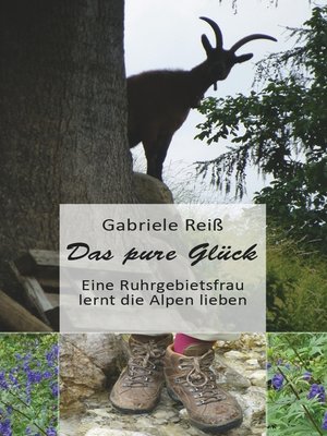 cover image of Das pure Glück